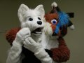 2010-07-01=CesFur 022.jpg